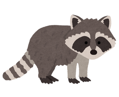 animal_araiguma_side