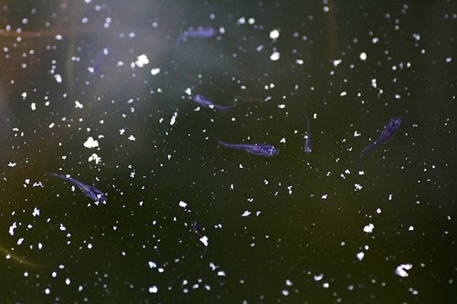 99e9173a.jpg