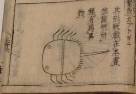 ̾��̤����