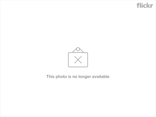 9f00740a.png