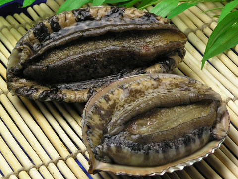 awabi-image-480