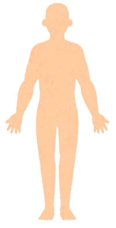 body_blank_man_front