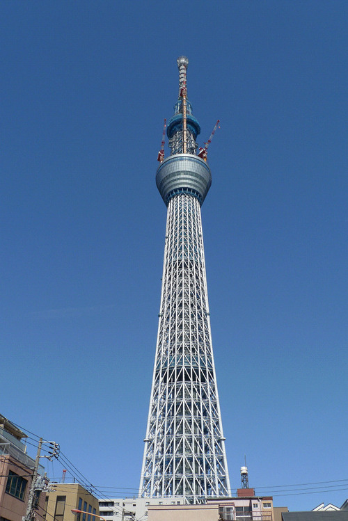 resize0232