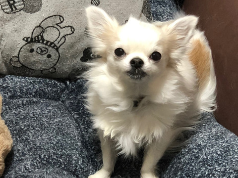 縫うって楽しい