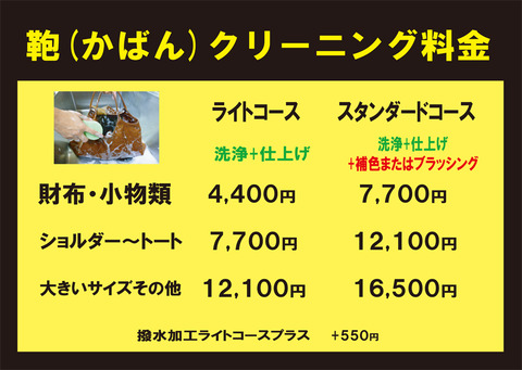 クリーニングかばん-2021-900