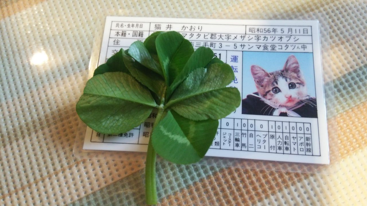 むつばのクローバー 就労支援plus