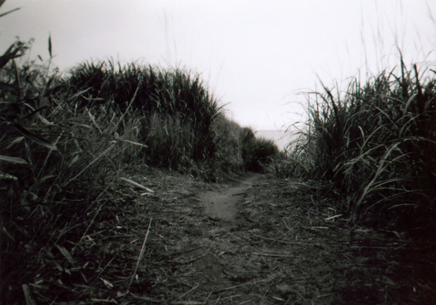 光射す海 Walkin In The Park 光射す海 Walkin In The Park