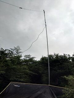 20250702金時山中腹E