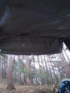 入山F