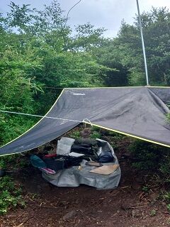 20250702金時山中腹D