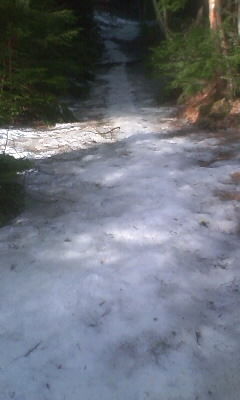 20130330吉田口登山道Ａ