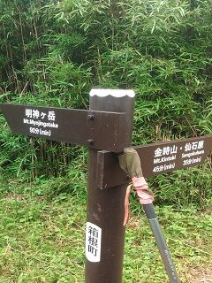 20250702金時山中腹J