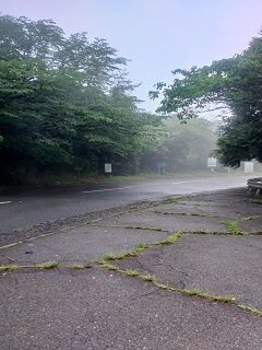 20230607熱海新道F