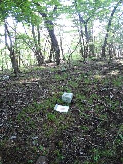 20220518東蓬莱山K