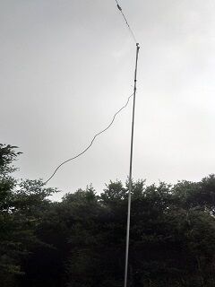 20250702金時山中腹B