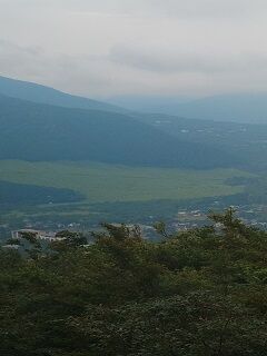 20250702金時山中腹I