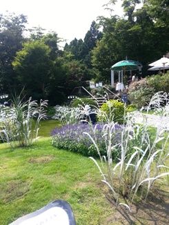 20140826_134726