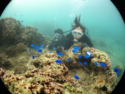 Diving_14