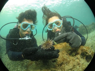 Diving_68