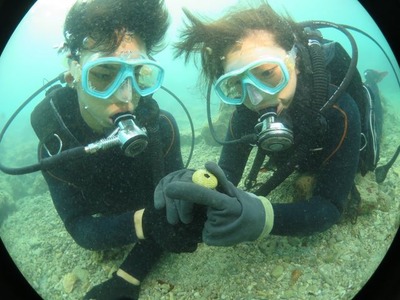 Diving_74