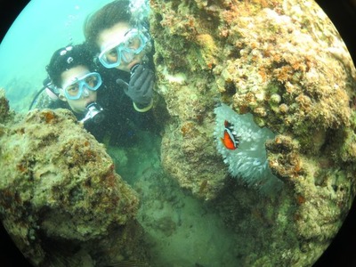 Diving_35