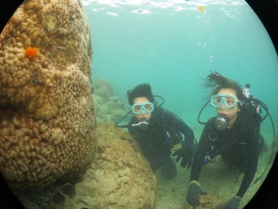 Diving_8