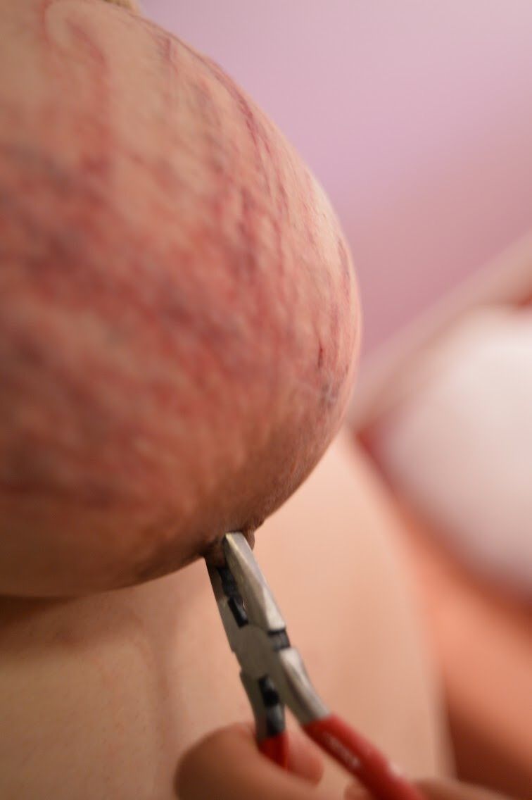 乳首 ペンチ責め : ぽちゃSM調教撮影日記