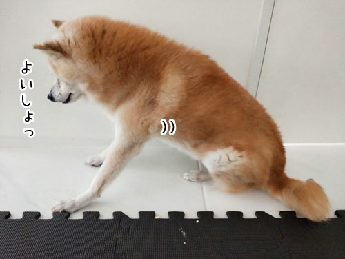 2019-7-14-6