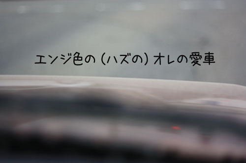 2011-5-31-6.jpg