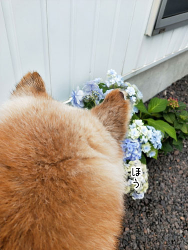 2019-6-11-1