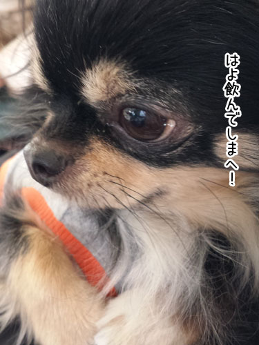 2015-1-29-7.jpg