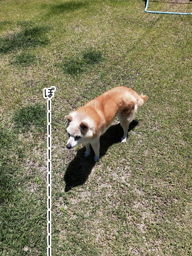 2019-6-16-1