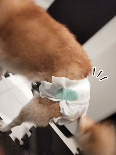 2019-11-15-1