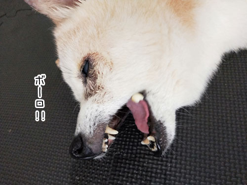 2019-8-4-3