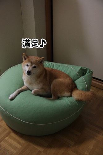 2011-9-30-2.jpg
