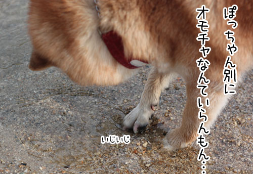 2010-3-31-10.jpg