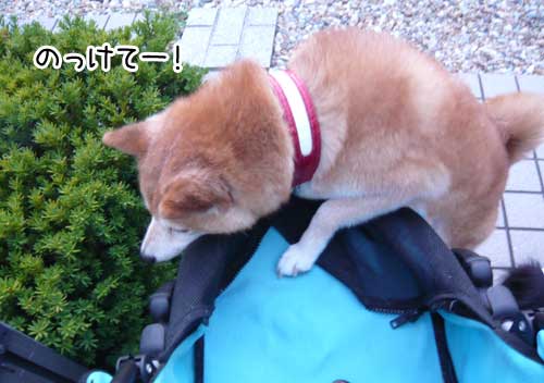 めばちこ ぽち Powered By ライブドアブログ