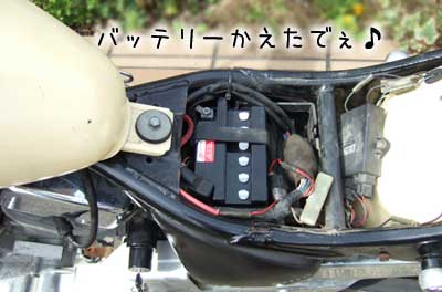 2009-4-5-4.jpg