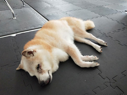 2019-9-14-1