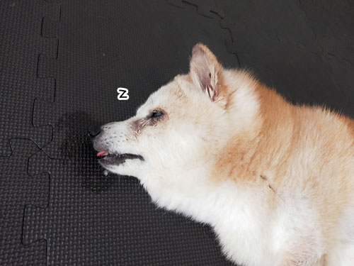 2019-8-4-5