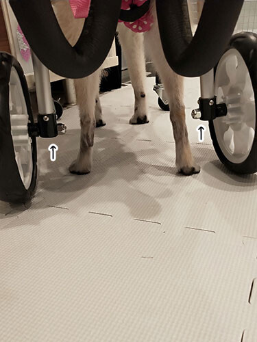 2020-7-23-4