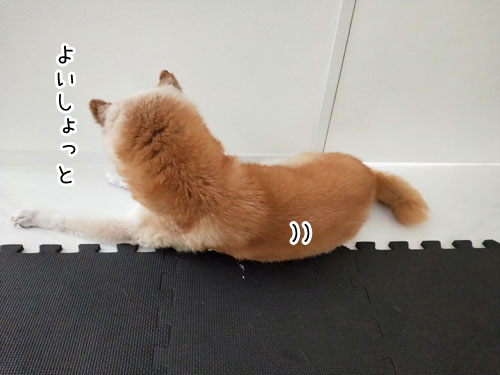 2019-7-14-1