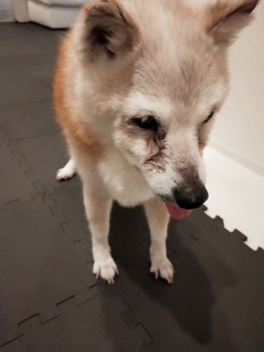 2019-9-15-2