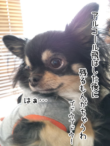 2015-1-29-4.jpg