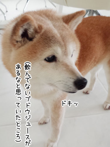 2015-1-29-6.jpg