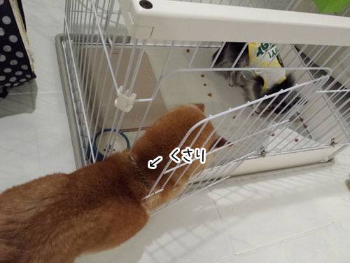 2013-9-14-2.jpg
