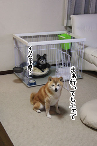 2011-9-24-1.jpg