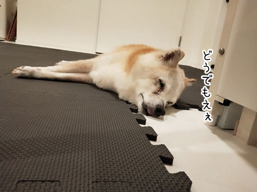 2019-7-30-2