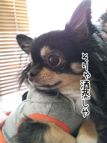 2015-1-29-2.jpg