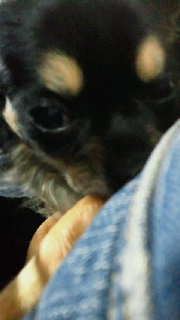 2011091719580000.jpg